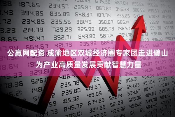 公赢网配资 成渝地区双城经济圈专家团走进璧山 为产业高质量发展贡献智慧力量