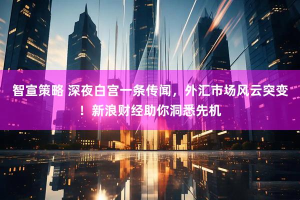 智宣策略 深夜白宫一条传闻，外汇市场风云突变！新浪财经助你洞悉先机