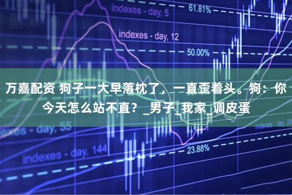 万嘉配资 狗子一大早落枕了，一直歪着头。狗：你今天怎么站不直？_男子_我家_调皮蛋