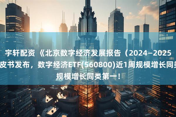 宇轩配资 《北京数字经济发展报告（2024—2025）》蓝皮书发布，数字经济ETF(560800)近1周规模增长同类第一！
